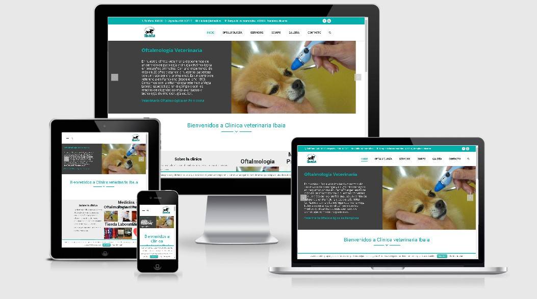 diseño paginas web veterinaria